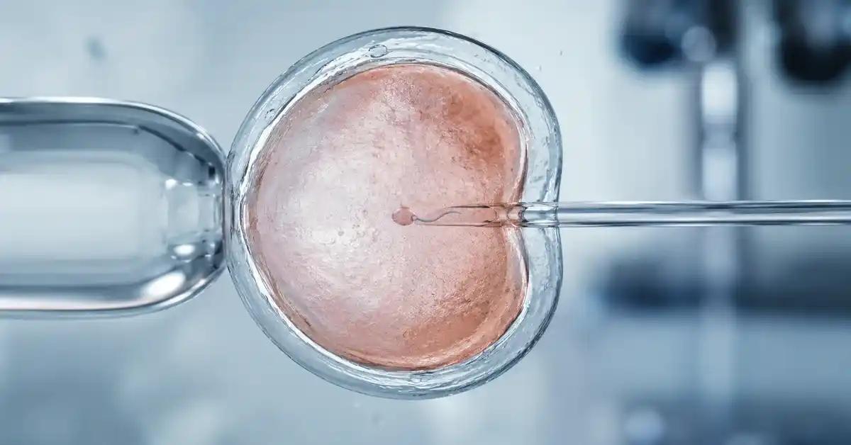 Can ICSI Be Done With Only One Egg?