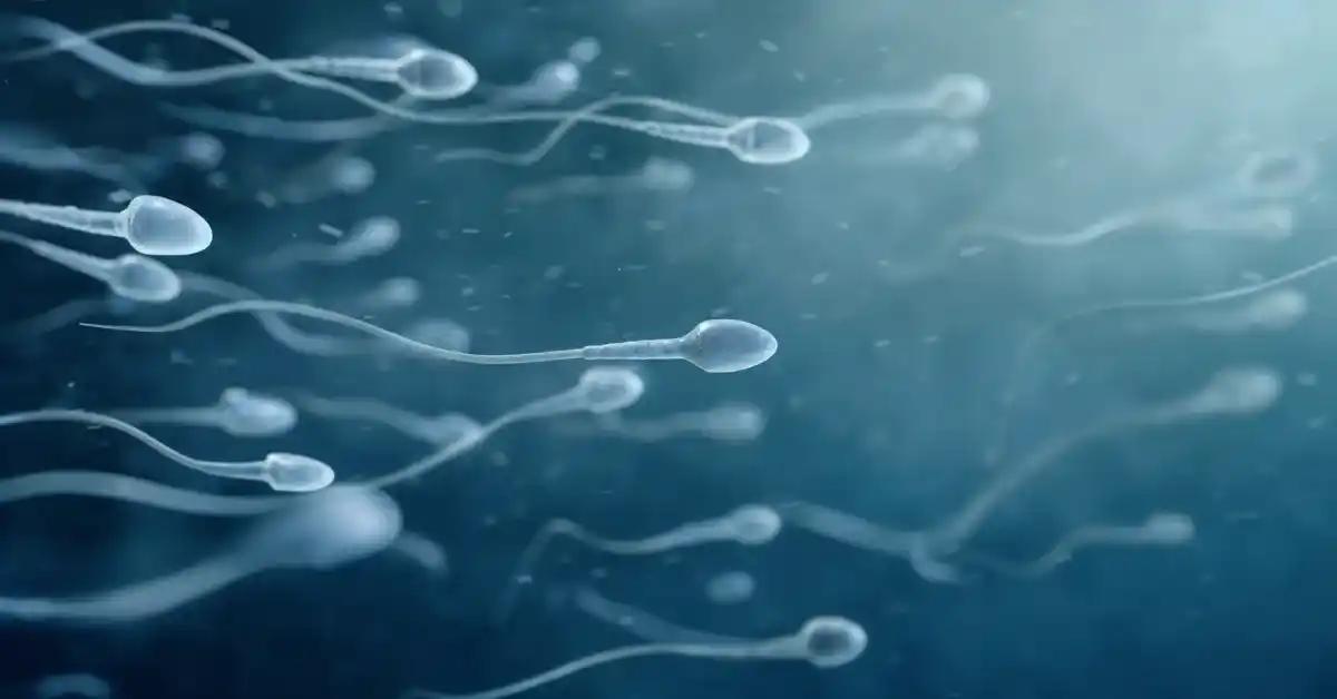 A Medical Roadmap to Enhancing Sperm Motility and Male Fertility