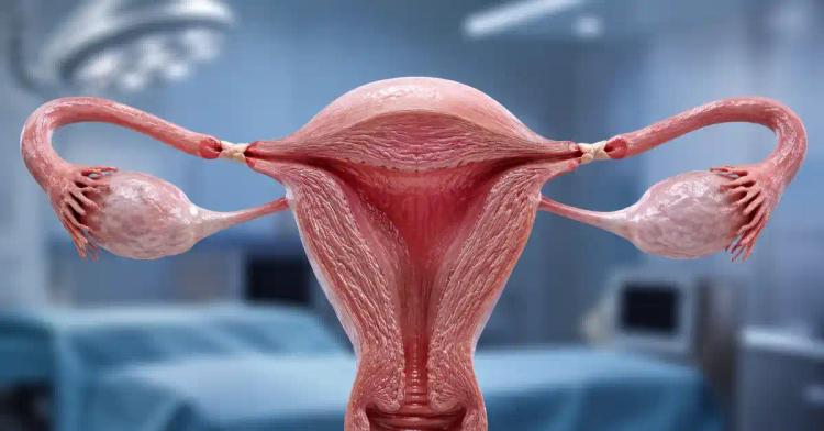 Blocked Fallopian Tubes: Is It The End Of The Motherhood Dream?