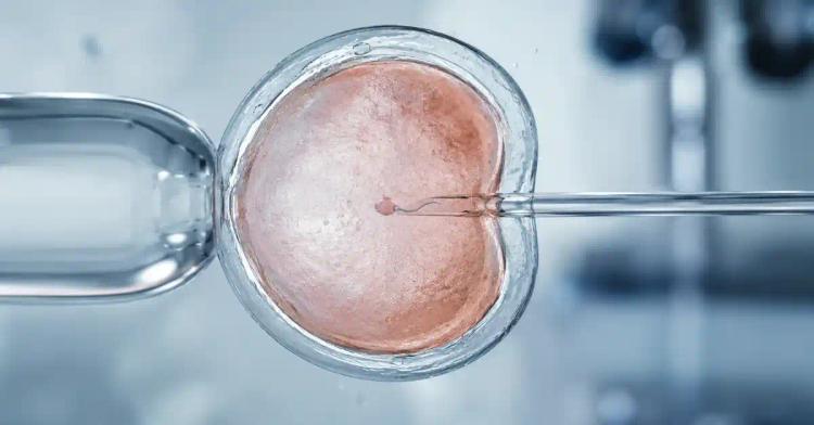 Can ICSI Be Done With Only One Egg?